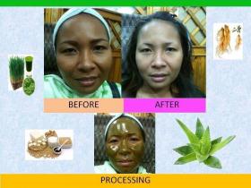 ขาย Mark Up Herbal Facial  -