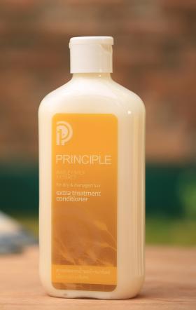 ขาย PRINCIPLE G253
