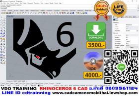 ขาย RHINOCEROS 6