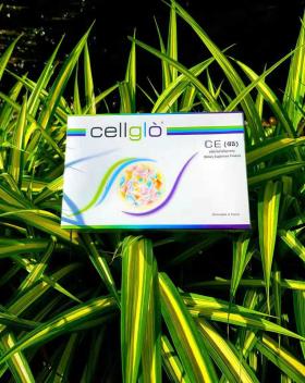 ขาย Cellglo CE - เซลล์โกล ซีอี