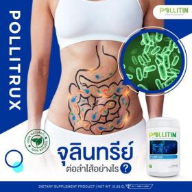 ขาย Pollitin พอลลิทรักซ์ (50แคปซูล)