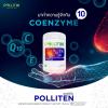 Pollitin พอลลิเทน (40แคปซูล)