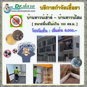 Dr.ปลวก บริการกำจัดเชื้อรา (บ้านทาวน์เฮ้าส์-บ้านทาวน์โฮม) ขนาดพื้นที่ไม่เกิน 100 ตร.ม.