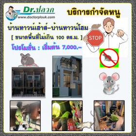 Dr.ปลวก บริการกำจัดหนู (บ้านทาวน์เฮ้าส์-บ้านทาวน์โฮม) ขนาดพื้นที่ไม่เกิน 100 ตร.ม.