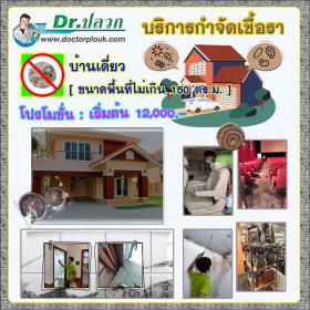 Dr.ปลวก บริการกำจัดเชื้อรา (บ้านเดี่ยว) ขนาดพื้นที่ไม่เกิน 150 ตร.ม.