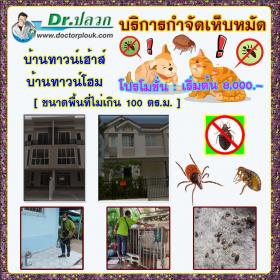 Dr.ปลวก บริการกำจัดเห็บหมัด (บ้านทาวน์เฮ้าส์-บ้านทาวน์โฮม) ขนาดพื้นที่ไม่เกิน 100 ตร.ม.