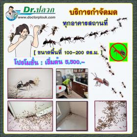 Dr.ปลวก บริการกำจัดมด (ทุกอาคารสถานที่) ขนาดพื้นที่ 100-200 ตร.ม.