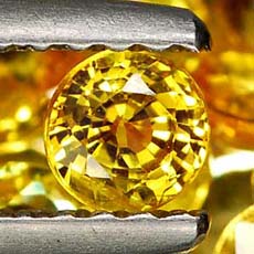 พลอยแท้ซองเจียสีเหลือง (Yellow Songea Sapphire) 3.98 กะรัต 15 เม็ด
