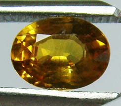 บุษราคัมบางกะจะแท้ (Yellow Sapphire) 1.40 กะรัตสีแม่โขงของจันทบุรี