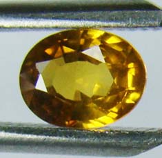 บุษราคัมบางกะจะแท้ (Yellow Sapphire) 0.80 กะรัตสีแม่โขงของจันทบุรี