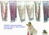 ขาย Silk scarfผ้าพันคอ ผ้าคลุมให่ล่ OTOP