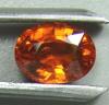 Spessartite Garnet 884