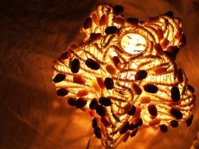โคมไฟรังไหม Star Cocoon Lamp  (Stand) 