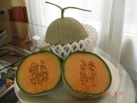 เมล่อน Melon