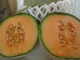 เมล่อน Melon