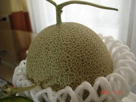 เมล่อน Melon