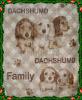 Dachshumd ผ้าห่มกำมะหยี่อย่างหนา ขนาด 140x200 cm. หนา นุ่ม น่าห่ม ของใหม่ 100% เป็นสินค้านำเข้า เหมาะสำหรับเป็นของขวัญ ของฝาก แด่คนที่คุณรักและห่วงใย