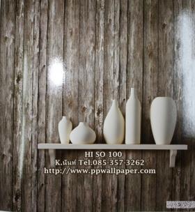 ขาย PPWALL THE HISO 100