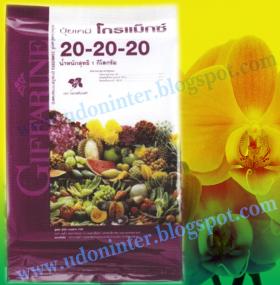 ขาย Gromag20-20-20 ปุ๋ยโกรแม็กซ์ 20-20-20