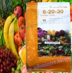 ขาย Gromag 6-20-30 ปุ๋ยโกรแม็กซ์ 6-20-30