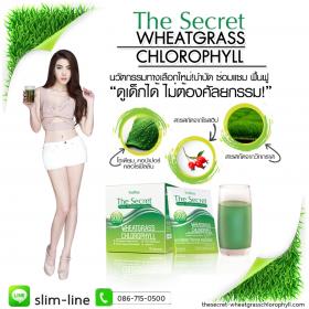 เดอะซีเคร็ทวีทกราสคลอโรฟิลล์ verena The Secret Wheatgrass Chlorophyll คลอโรฟิลล์ วุ้นเส้น