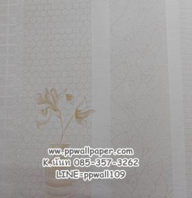 ขาย PPWALL F-SHADOW 006