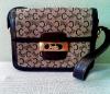 Celine Chariot