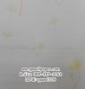 PPWALL F-SHADOW 035