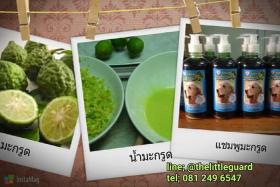 แชมพูสมุนไพรมะกรูด