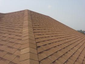 หลังคา shingle roof