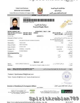 DXB - DUBAI E-VISA 14 DAYS.