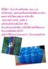 clean01 น้ำยาแช่ล้างเครื่องประดับ เงิน นาก ทอง ขนาดบรรจุ 120 cc.