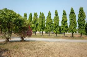 ขายที่ดิน 4 ไร่ พร้อมบ้านพัก เชียงใหม่ (รับนายหน้าค่ะ) 