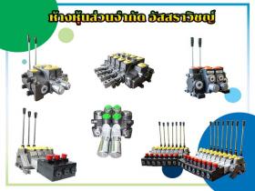 จัดจำหน่ายอุปกรณ์ไฮดรอลิค วาล์วมือโยกแบบธรรมดา และแบบไฟฟ้า (COMPLETE VALVE)