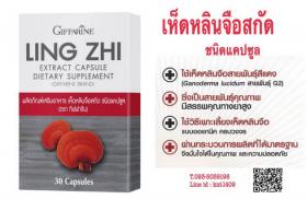 ขาย Ling Zhi Extract Capsule Dietary Supplement (Giffarine Brand) -