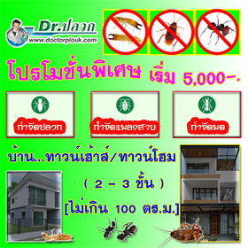 บริการกำจัดปลวก บ้านทาวน์เฮ้าส์-บ้านทาวน์โฮม