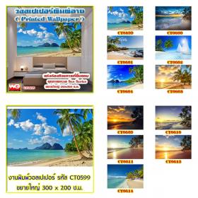 White Glass สินค้าสำเร็จรูป-วอลเปเปอร์พิมพ์ลายภาพเทะเล