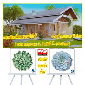 White Glass สินค้าสำเร็จรูป-ภาพพิมพ์แคนวาสใบไม้ (หลายแบบ) [ขนาด 40x40 ซ.ม.]