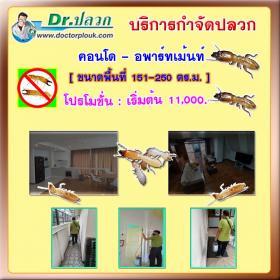 Dr.ปลวก บริการกำจัดปลวก (คอนโด-อพาร์ทเม้นท์) ขนาดพื้นที่ 151-250 ตร.ม.