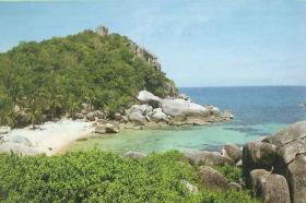 ทัวร์ดำน้ำ Low Cost ที่เกาะเต่า สุราษฎร์ธานี 3วัน2คืน ราคา 3,690.- บาท/ท่าน  ไม่มีชาร์ตเพิ่ม!!!