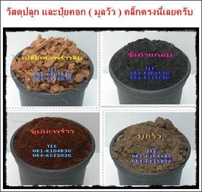 no description