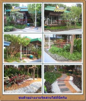 จัดสวน