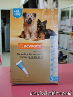 ขาย Advocate สำหรับสุนัข น้ำหนัก4.1-10 กิโลกรัม 1 หลอด