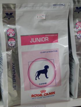 ขาย Royal Canin vcn junior 4 kg