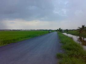 ขายที่ดิน ลำลูกกาคลอง 8 ใกล้วัดดอนใหญ่ 60 ไร่