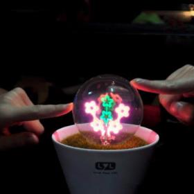 กระถางต้นไม้ LED รูปดาว (ประหยัดพลังงาน)