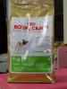 ขาย Royal canin สำหรับสุนัขโตสายพันธุ์ปั๊ก 500 กรัม