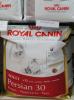 Royal canin สำหรับแมวโตเปอร์เซีย 400 กรัม