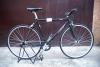 SE Fixed gear size 48
