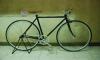 Surly -